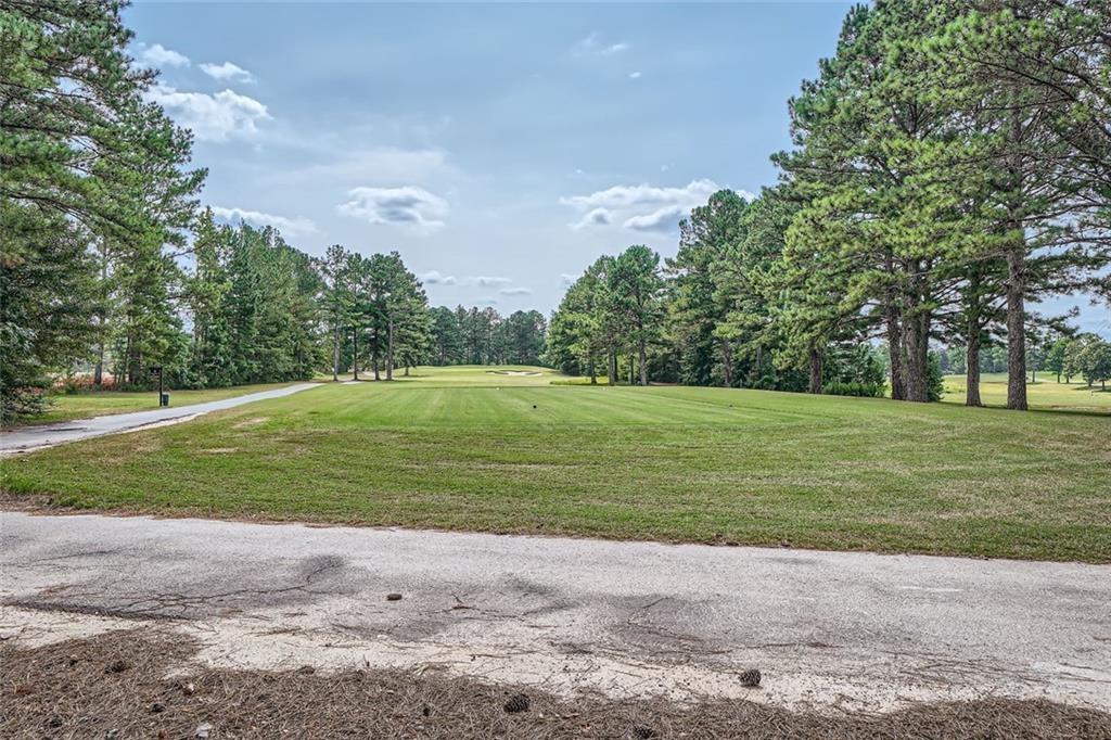 207 Eagles Flight, Villa Rica, Georgia image 28