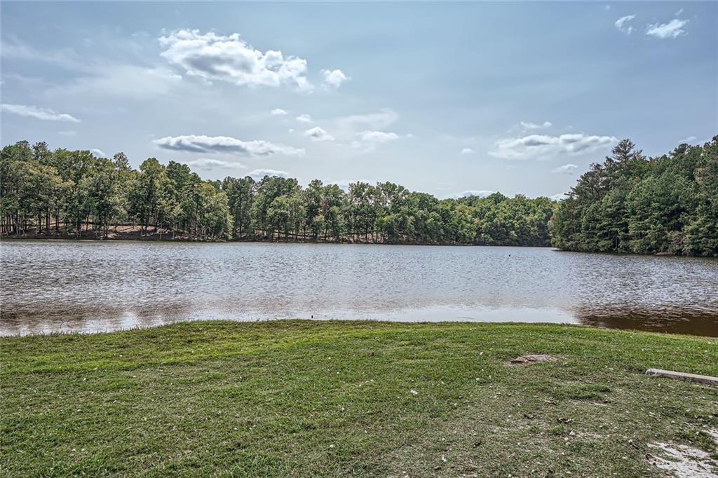 207 Eagles Flight, Villa Rica, Georgia image 31
