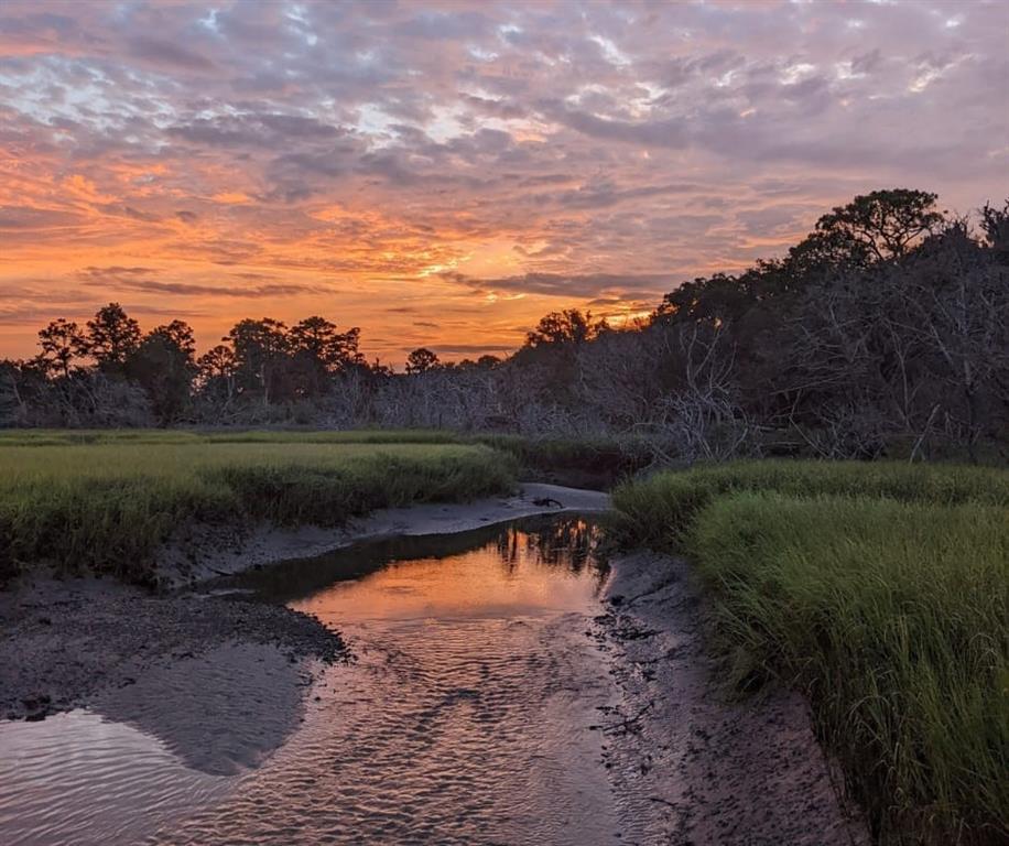 1353 East Perimeter Road, Sapelo Island, Georgia image 4