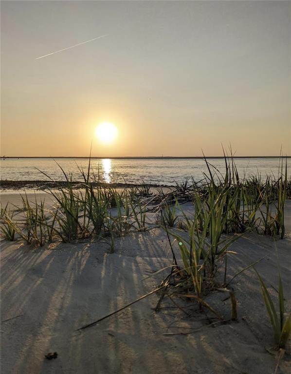 1353 East Perimeter Road, Sapelo Island, Georgia image 3