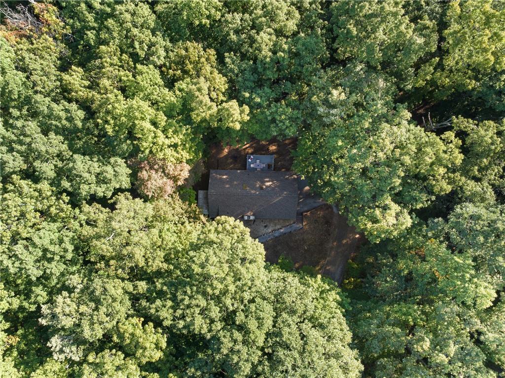 172 Shady Trail, Blairsville, Georgia image 48