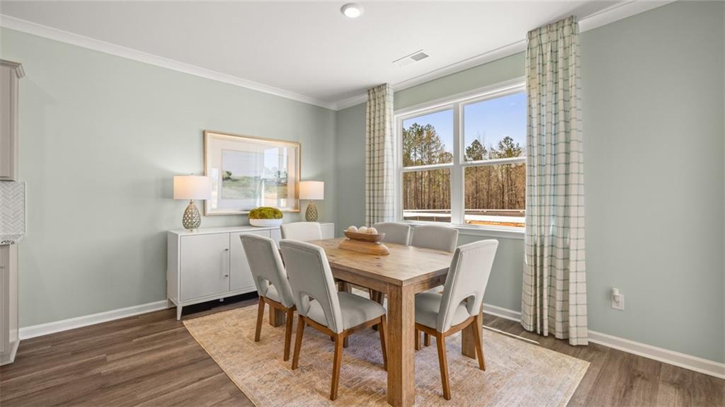 1040 Amerson Court Ct, Buckhead, Georgia image 33
