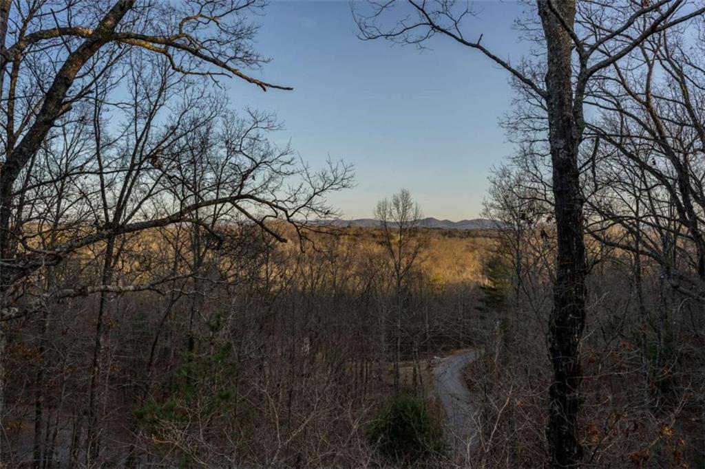 43 Logan Drive, Mineral Bluff, Georgia image 46
