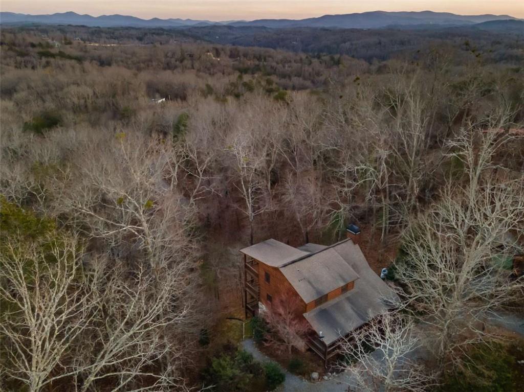 43 Logan Drive, Mineral Bluff, Georgia image 49