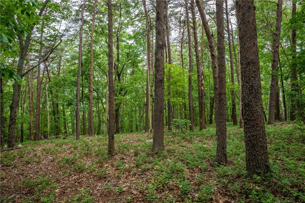 206R Mystic Trail Lane, Jasper, GA, 30143