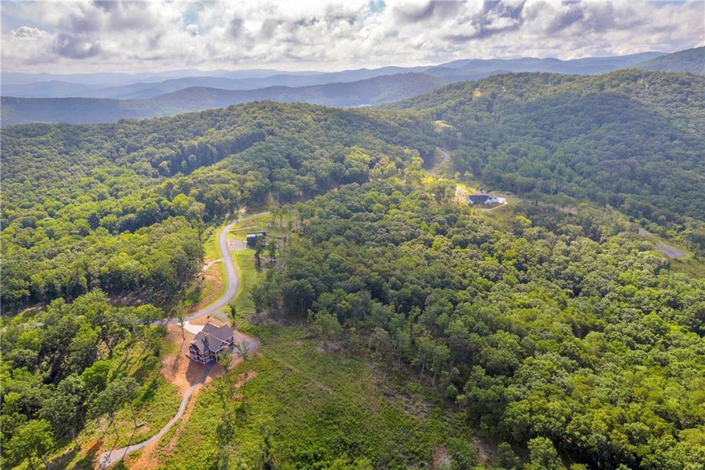 Welcome to The Vineyard at Yukon-a scenic, gated community surrounded by mountain views, fresh air, and the charm of Ellijay living. What a perfect lot to build your dream home! This peaceful subdivision spans over 1,500 acres with 400+ acres of protected green space, winding creeks, cozy firepits, and even an observation pavilion to take in those stunning mountain views. There are also plans for a pool and clubhouse! Love local wine? Chateau Meichtry Winery is right up the road. Prefer shopping and dining? You're only 15 minutes from downtown Ellijay and just an hour from Atlanta. Whether you're building a weekend getaway or your forever home, this lot is an amazing opportunity in a truly special neighborhood.