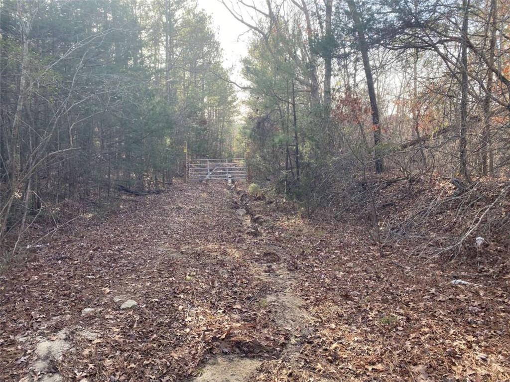 Miller Bottom Road, Loganville, Georgia image 4