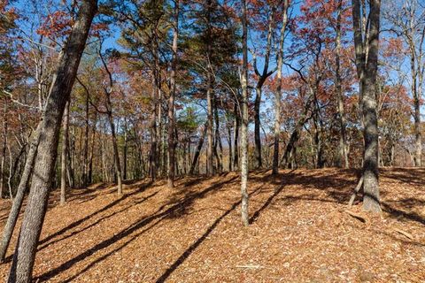 Vacant Land For Sale - LOT 40 Preserve Trail<br/> Ellijay, GA 30536