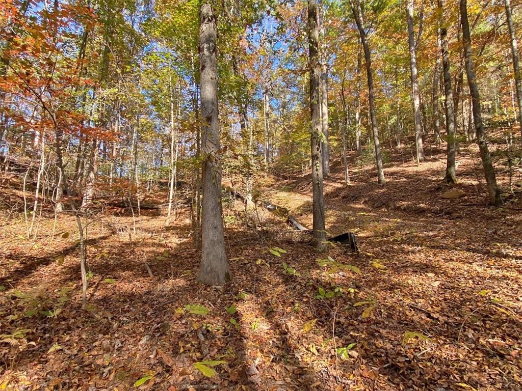 2.43ac Old River Road, Dahlonega, Georgia image 9