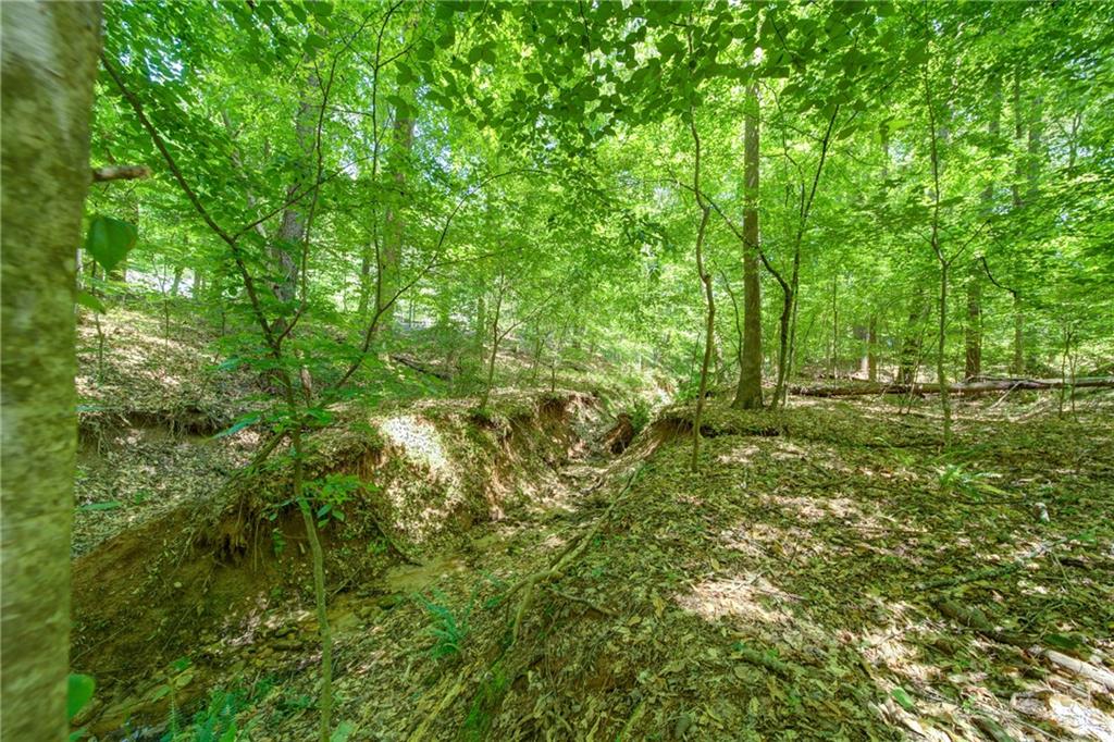 1981 Mountain Road, Alpharetta, GA, 30004 4 1981 Mountain Road