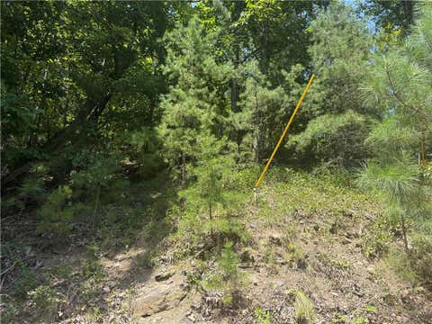Vacant Land For Sale - 347 Meteor Court<br/> Ranger, GA 30734