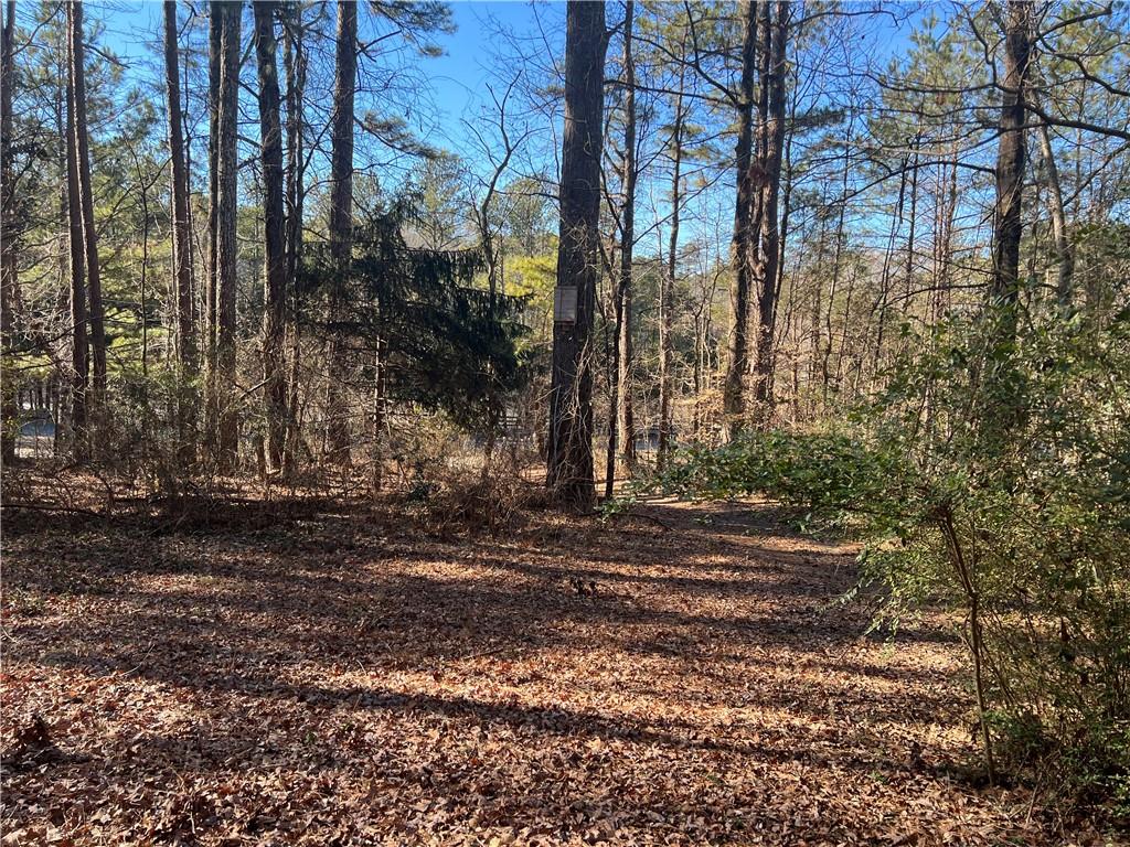 2010 Sixes Road, Canton, Georgia image 8