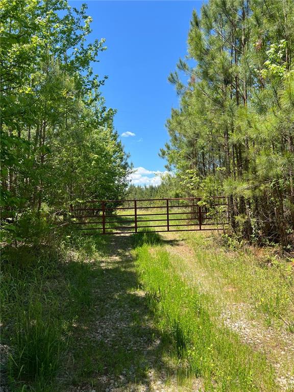 Macedonia Church Road, Buchanan, Georgia image 1