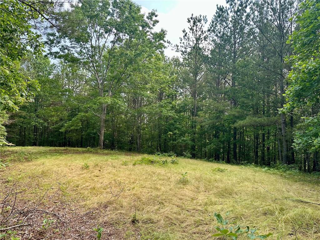 125 Patriot View Dr.