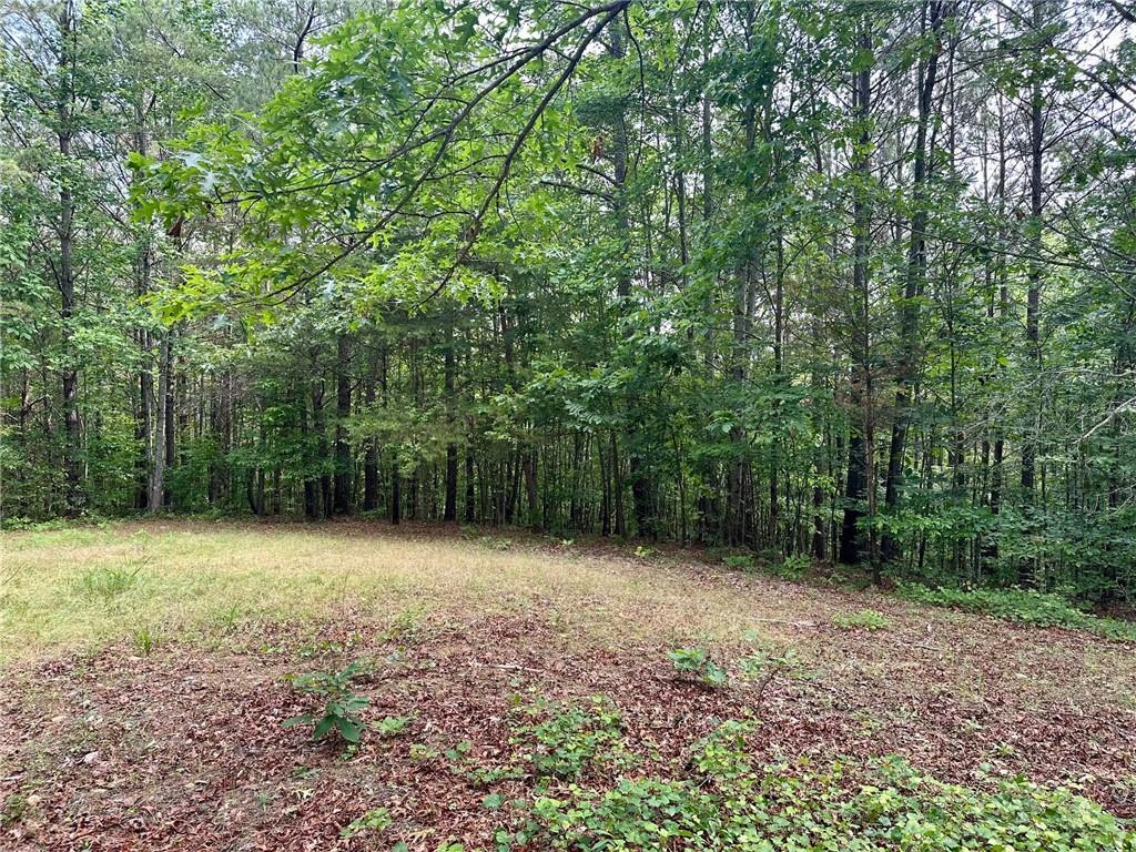 125 Patriot View Dr.