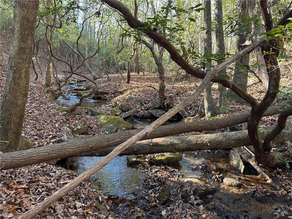 125 Patriot View Dr.