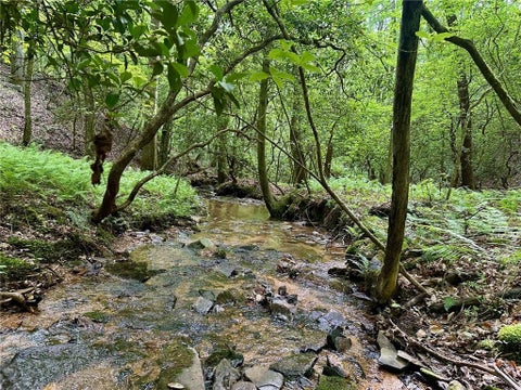 Vacant Land For Sale - 125 Patriot View Dr.<br/> Lumpkin County, Dahlonega, GA 30533