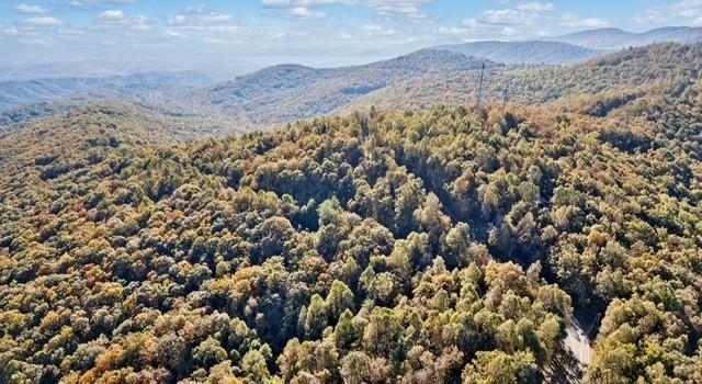 Lot 03 Upper Sassafras Parkway, Jasper, Georgia image 5