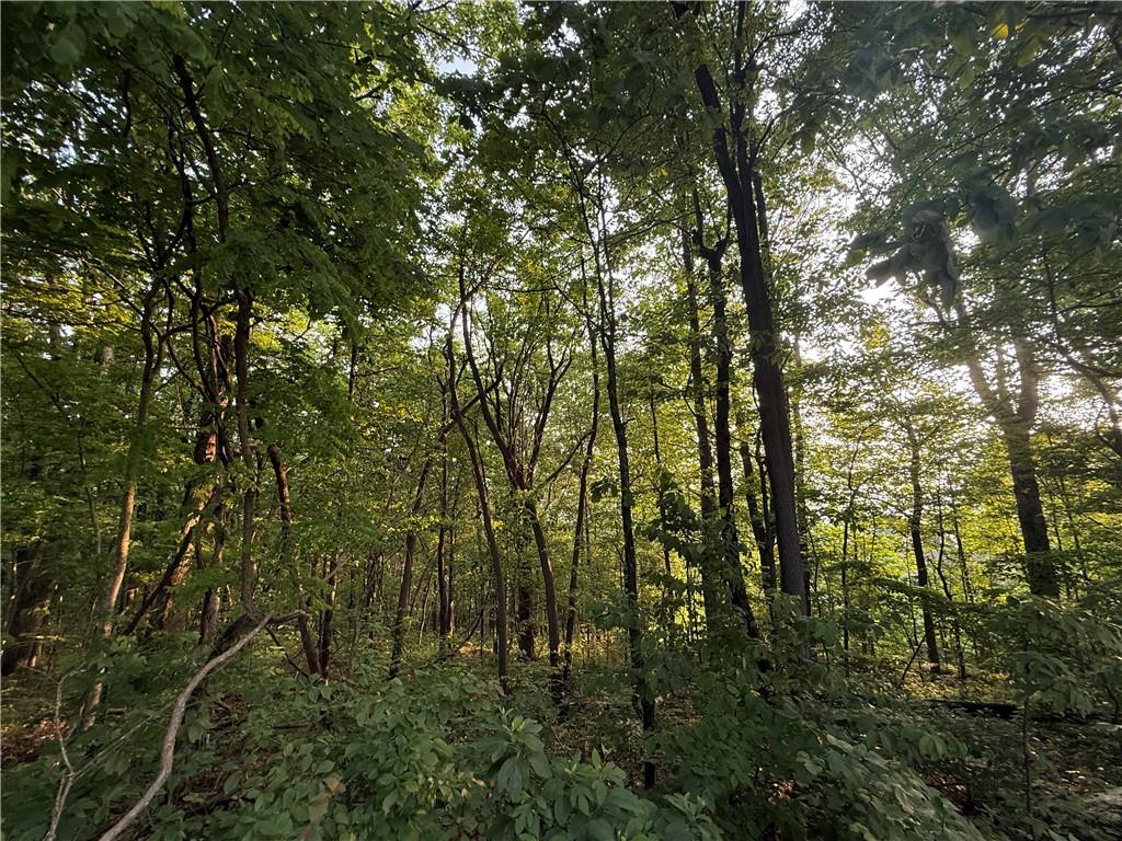 Lot 03 Upper Sassafras Parkway, Jasper, Georgia image 6