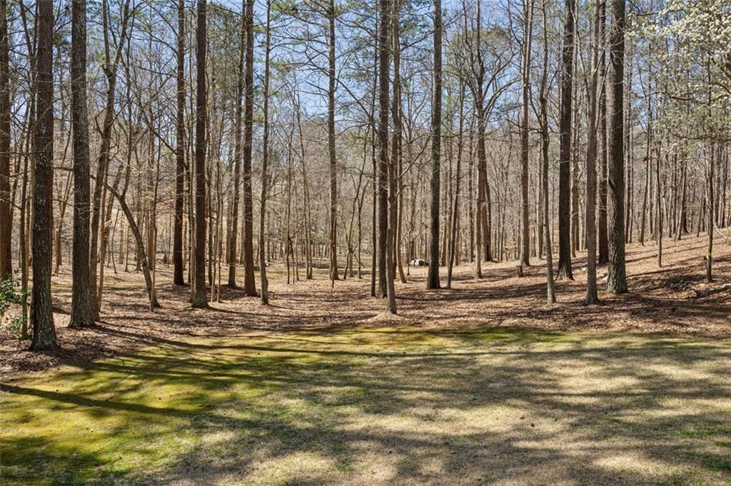 1345 Bridgemill Avenue, Canton, Georgia image 32