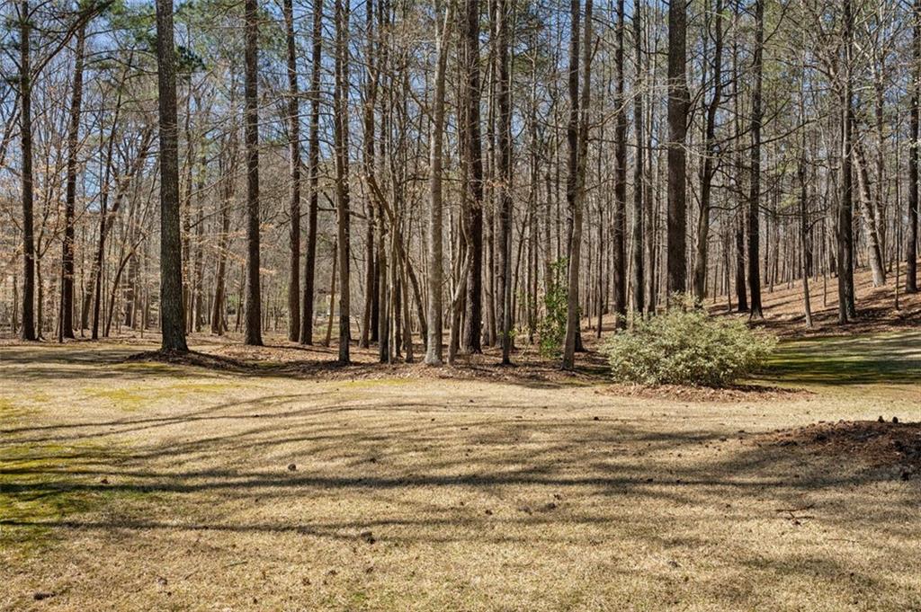 1345 Bridgemill Avenue, Canton, Georgia image 33
