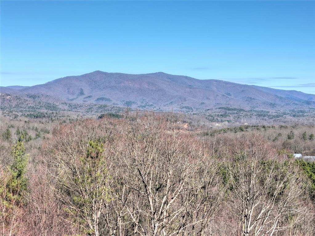 100 Foxpaw Leaf Court