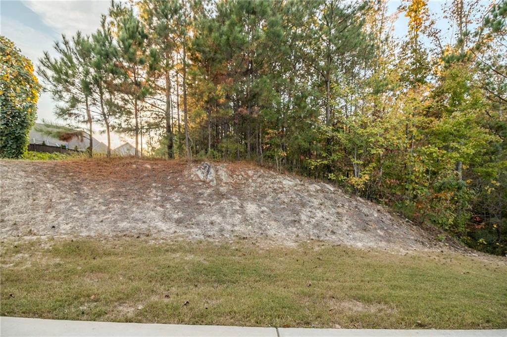 255 Dublin Way, Dallas, Georgia image 27
