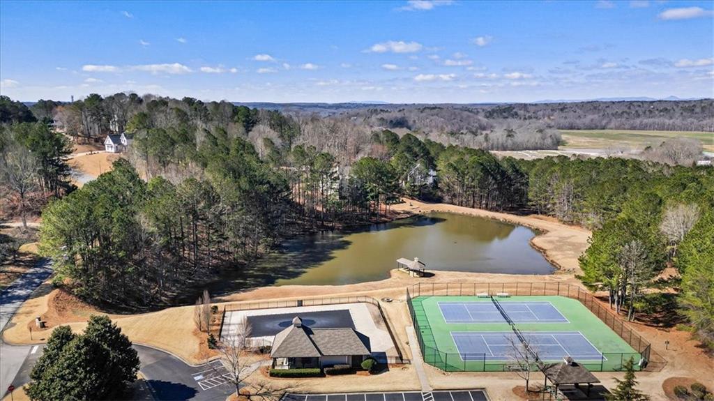9235 Old Preserve Trail, Ball Ground, Georgia image 36