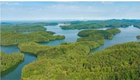 Vacant Land For Sale - Carter View Drive<br/> Ellijay, GA 30540