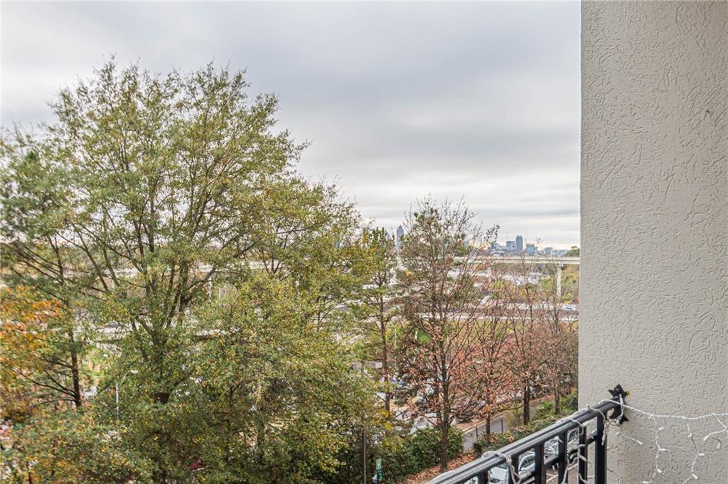970 Sidney Marcus Boulevard #1217, Atlanta, Georgia image 28