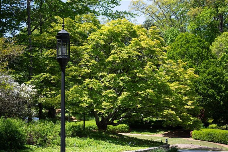 Sandy Springs - Residential