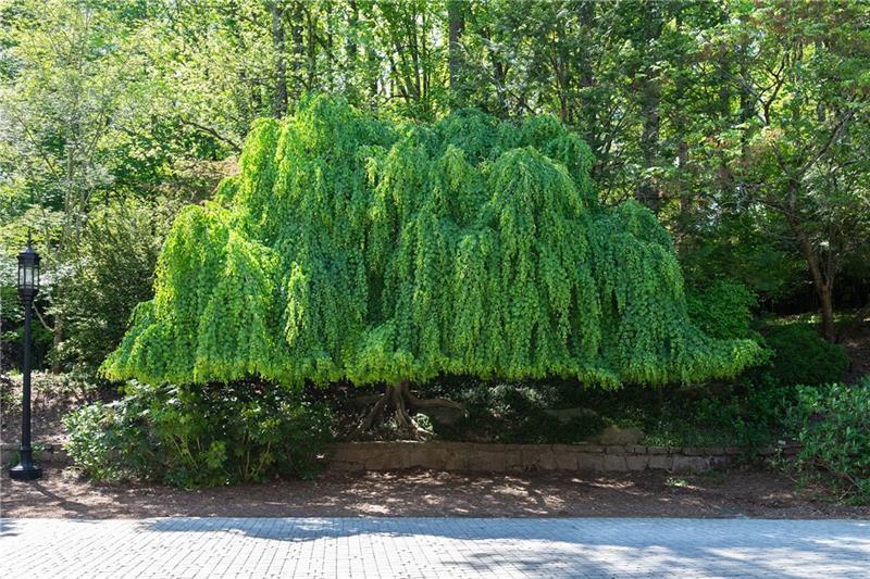 Sandy Springs - Residential