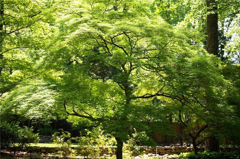 Sandy Springs - Residential