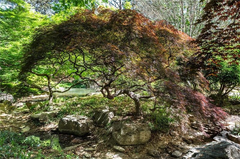 Sandy Springs - Residential