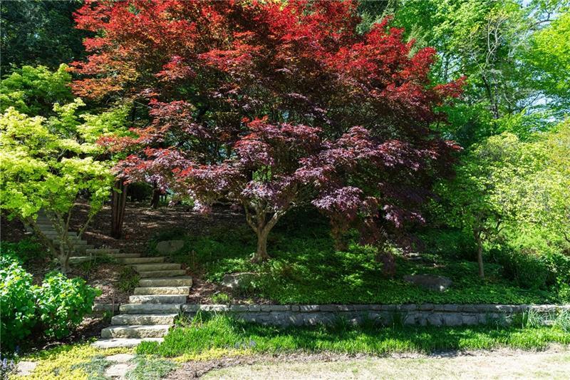 Sandy Springs - Residential