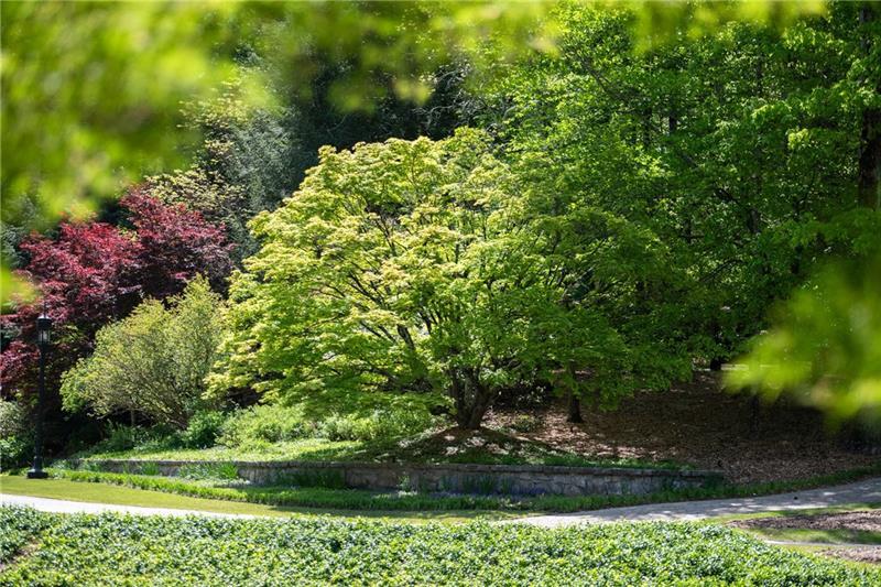 Sandy Springs - Residential