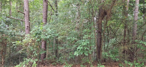 Vacant Land For Sale - 2678 Sleepy Hollow Road<br/> Walton County, Monroe, GA 30655
