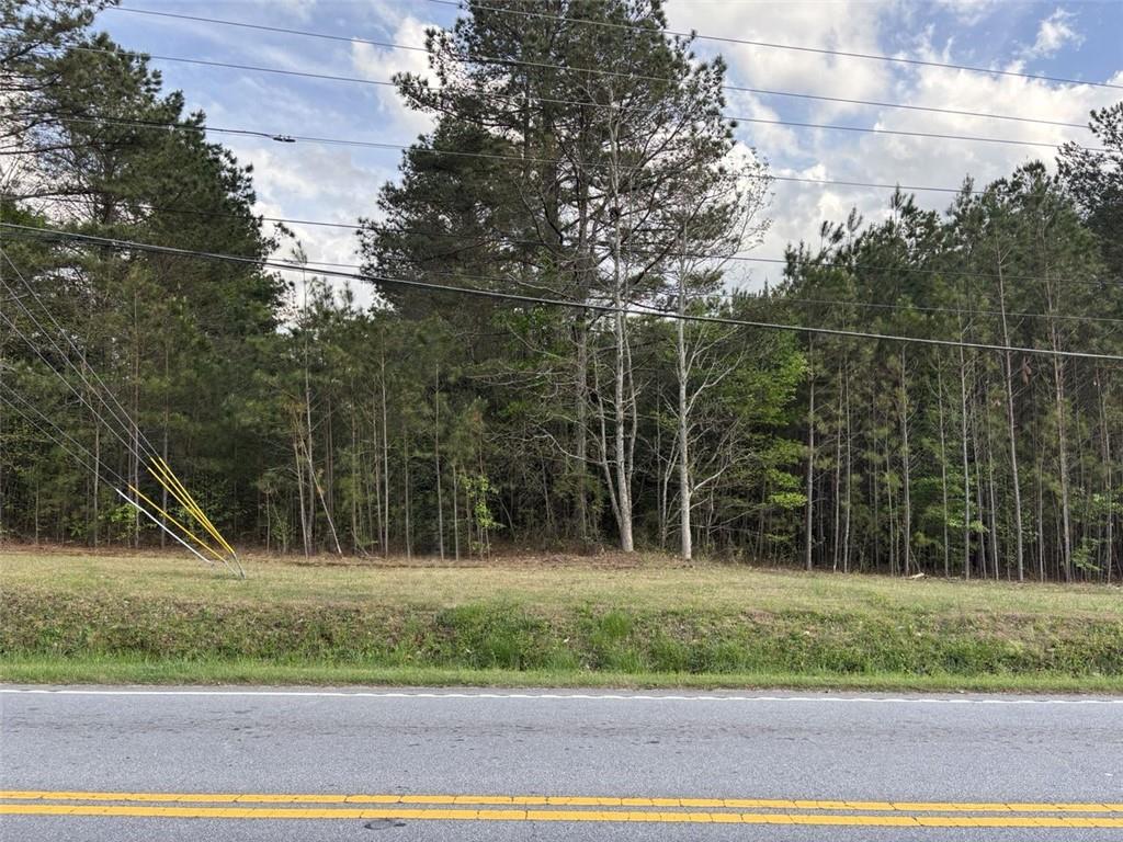 Highway 166, Winston, Georgia image 1