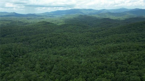 Vacant Land For Sale - LOT 14 Oceola Drive<br/> Ellijay, GA 30540