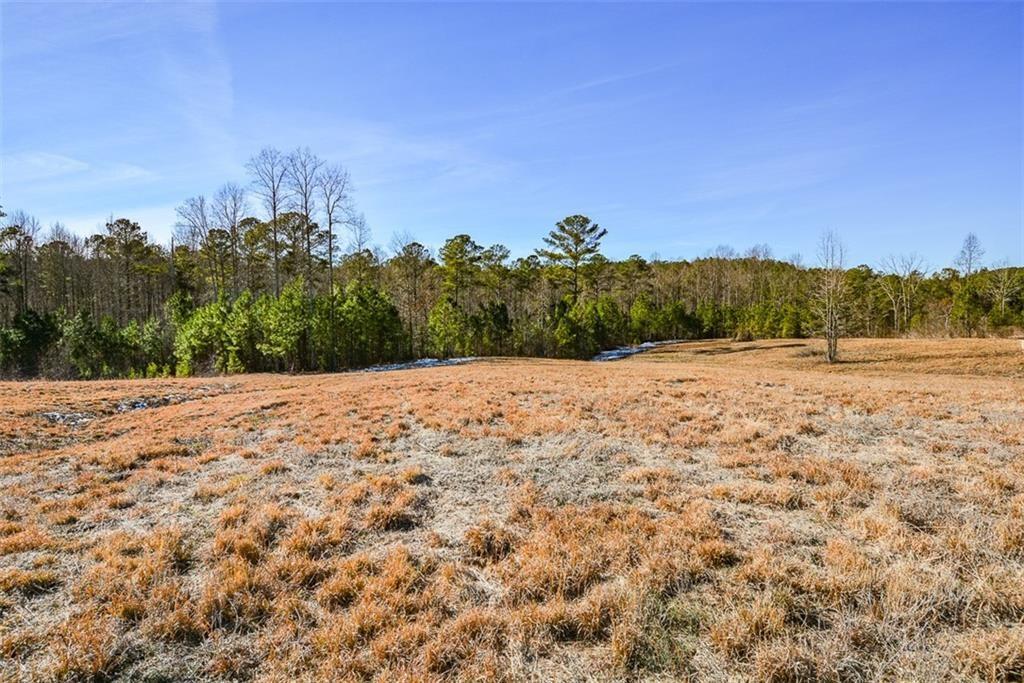 Pleasant Valley Road, Talking Rock, Georgia image 11