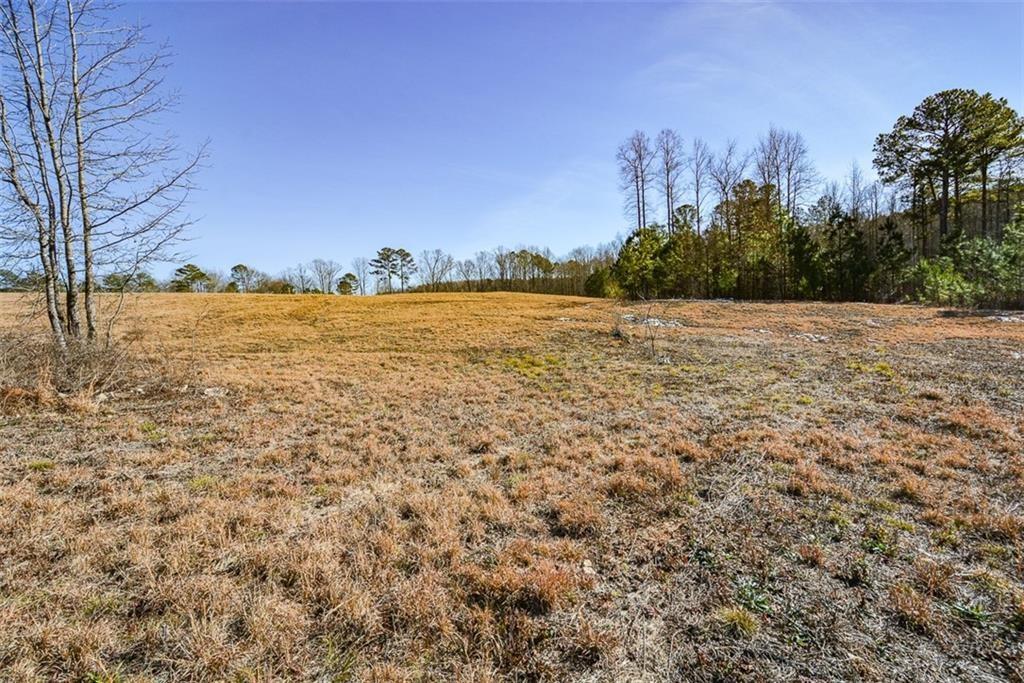 Pleasant Valley Road, Talking Rock, Georgia image 10