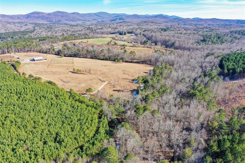 Pleasant Valley Road, Talking Rock, Georgia image 15