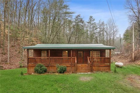 519 Barnes Drive Ellijay GA 30540