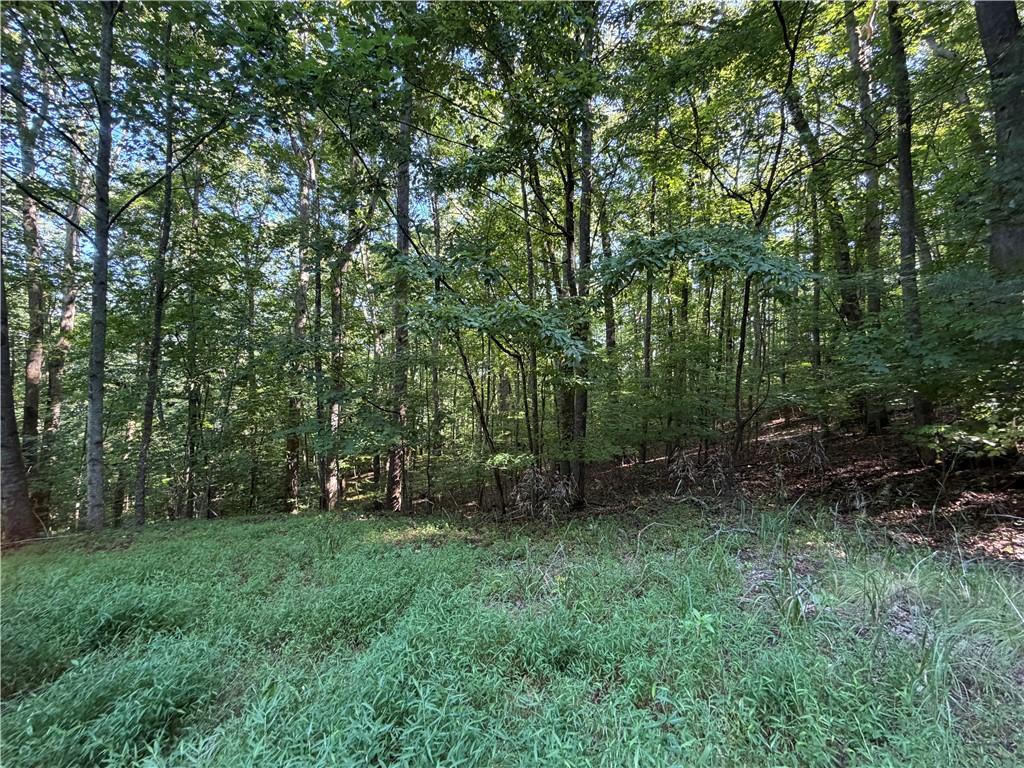 6 & 7 Mill Ridge Rd