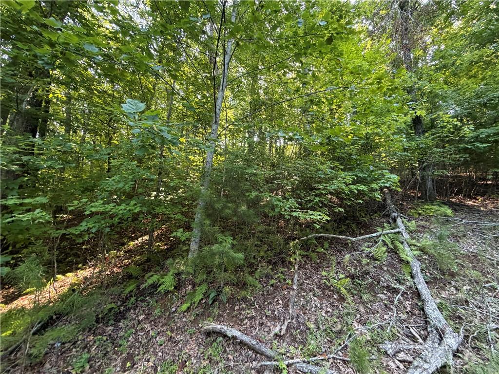 6 & 7 Mill Ridge Rd