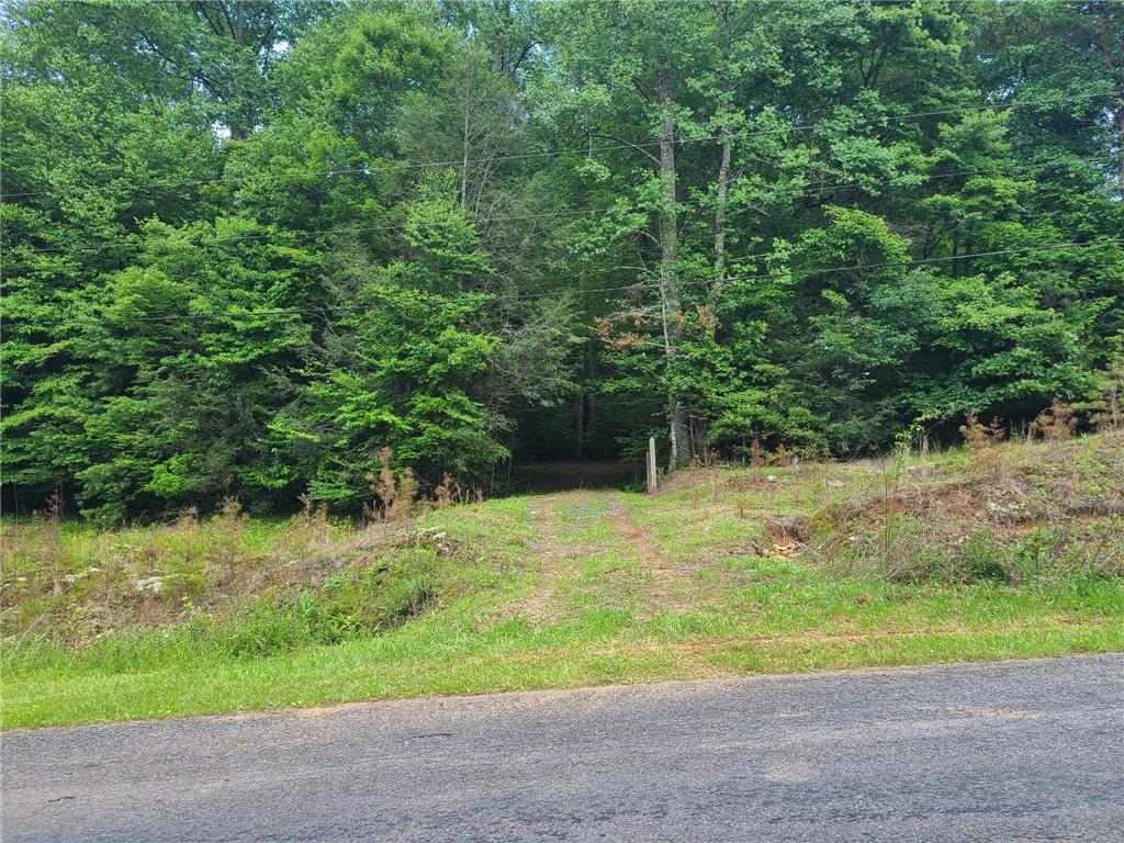 Are you looking to build your dream home with year round mountain views and/or pasture views in the heart of the North Georgia Mountains? Here's YOUR chance!! This stunning 1.56 acre piece of property could be yours! This property boasts hardwoods all around giving you the option of living within the tress and enjoying natures natual canopy or clearing them out to make room for your pristine yard with lush grass! This beautiful lot not only has mountain views year round there is also access to spring water! Did I mention there is no HOA? This parcel was once apart of a larger tract that was family owned for 200 years which means you're going to be surrounded by other larger tracts of land keeping privacy and small town feel a staple in this area. While you are deep into the N GA mountains you'll find you're still very convenient to downtown Ellijay, HWY 515, Blue Ridge, shopping, restaurants, and all the apple orchards you could ever want to visit! Many would argue Big Creek Road is one of the prettiest roads to travel in all of Ellijay and it certainly makes an incredible place to build your forever home, your vacation home, your income producing property, or even your first home! This magical piece of property is just waiting for a new last name! Let's schedule your tour today!