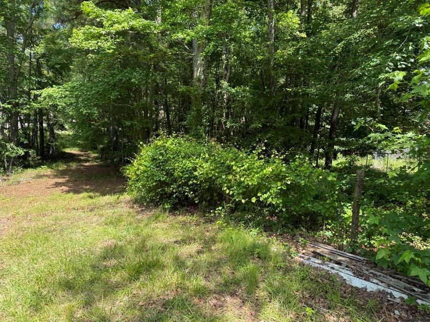 3136 Camp Branch Road, Buford, Georgia image 8