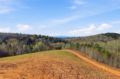 Vacant Land For Sale - 1927 Leeches Road<br/> Ellijay, GA 30540