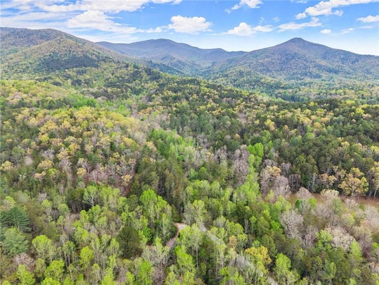 S FERN COVE RD, SAUTEE NACOOCHEE, GA 30571 - Image 9f7c0bf3e4e8a3c28f8415e6d4247169/4096092228