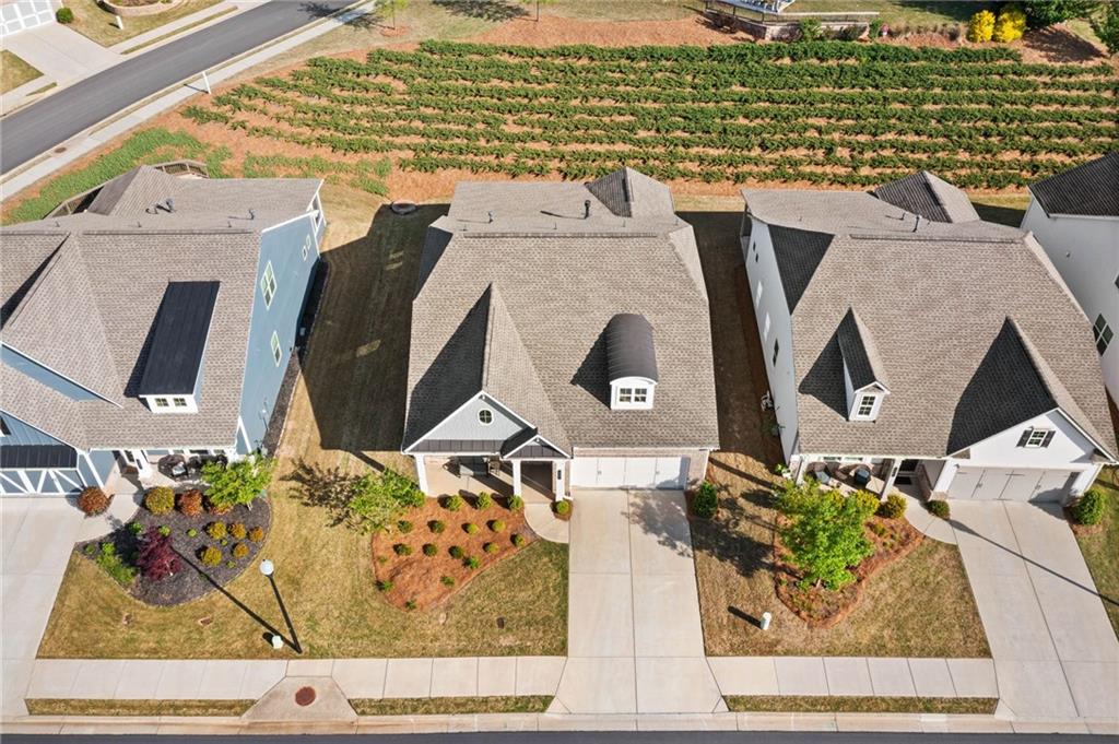 503 Forest Lane, Canton, Georgia image 6